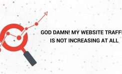 God Damn! my website traffic is not increasing at all