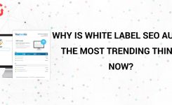 Why Is White Label Seo Audit The Most Trending Thing Now?